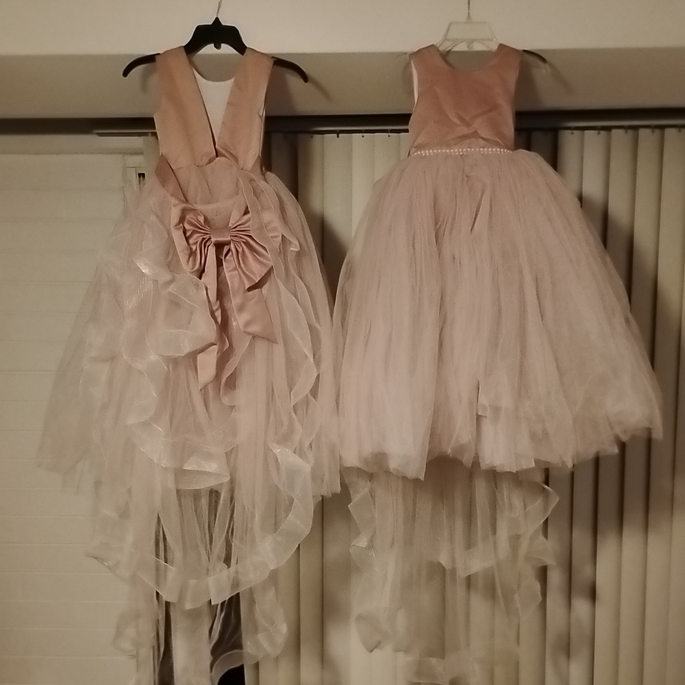 Elegant Pink Tulle Prom Dress